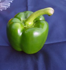 Green pepper