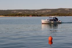 Buoy and Boat