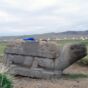 Stone Turtle In Mongolia