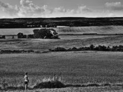 Girl In The Fields