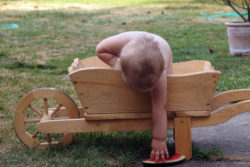 Baby In A Wheelbarrow