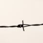 Barbed Wire