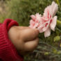 Baby hand picking the flower