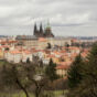 View to Prague Castle from Petrin hill