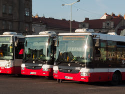 Waiting buses