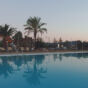 Swimming Pool And Palm Trees