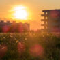 Sunset On A Panel Housing Estate In Prague