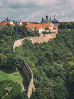 Green Prague – City Forest