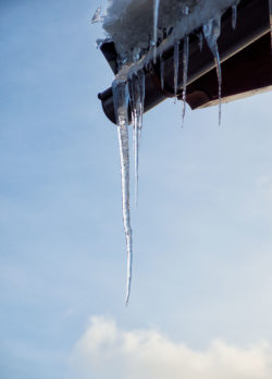 Icicle on the gutter