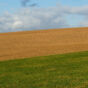 Pastue, Field And Sky