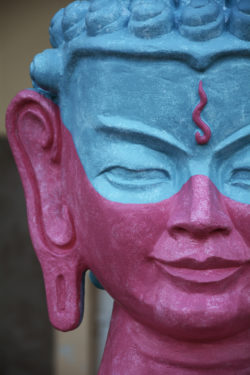 Pink Buddha’s Face