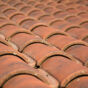 Roof Tiles Detail