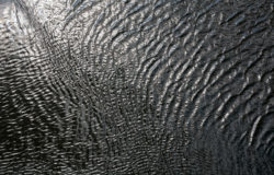 Water Surface