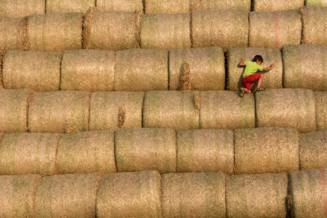 Climbing on stack of straw