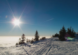 Snow and blue sky