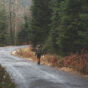 Woman alone in the woods