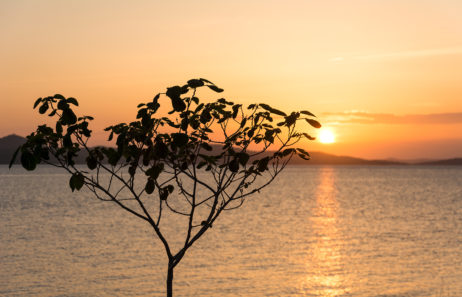 Sunset Over the Sea