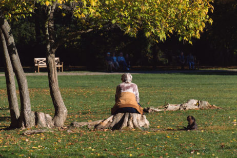 Old Woman With Dog Sitting in the Park