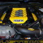 Mustang Car Engine