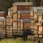 Honey bee boxes