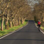 Cyclist on the road