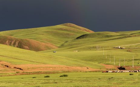 Green steppe in Mongolia