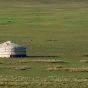 Mongolian yurt in the green steppe