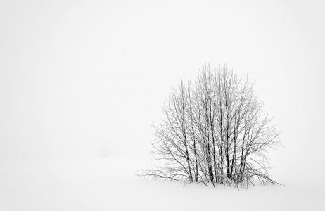 Winter Minimalism