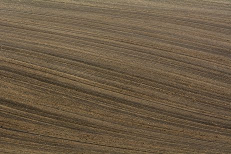 Brown Field Pattern