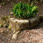 Flowerbed in an Artificial Stump