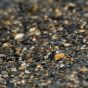 Pebbles at the Shore of a Clear Lake