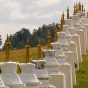 Row of Buddhist Stupas