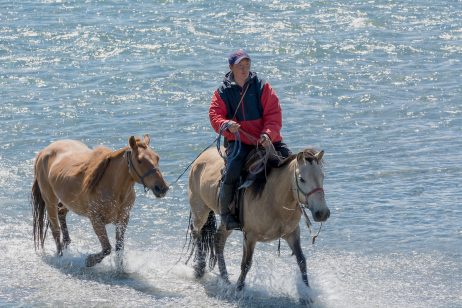 Riding Horses in the River