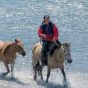 Riding Horses in the River