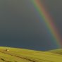 Rainbow in Mongolia