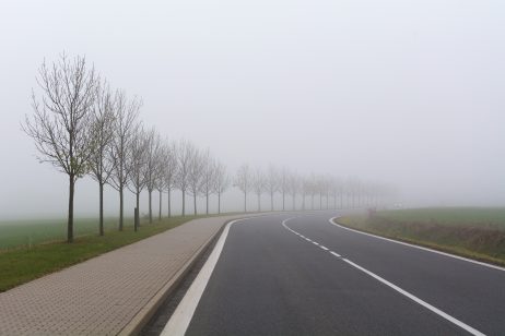 Foggy Road