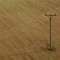 Electricity Poles on the Brown Field