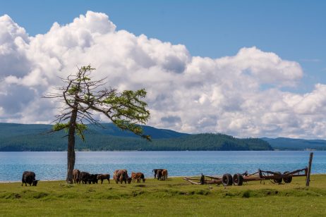 Mongolian Nature – Khövsgöl Lake