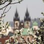Spring Prague