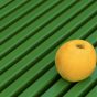 Yellow Apple on a Green Background