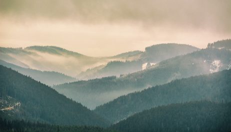 Hills in Mist