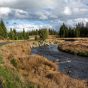 Bike Path Next to the River in the Wild