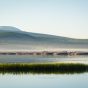 Morning at Lake Khövsgöl in Mongolia