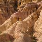 Tsagaan Suvarga Rocky Formation