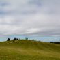 Beautiful Landscape with a Green Hill