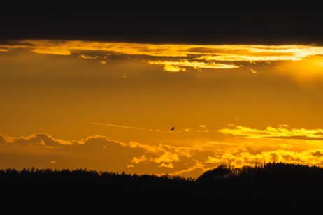 Dramatic Orange Sky