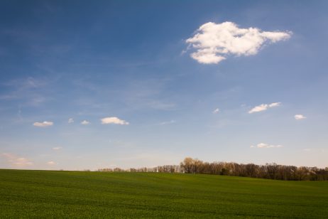 Green Hill Landscape