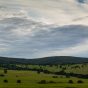 Green Meadow Landscape