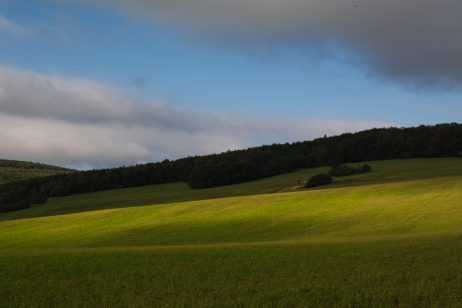 Meadow Landscape with Light and Shadow