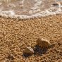 Beach Close-Up